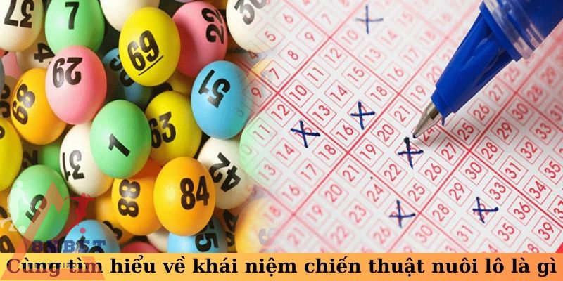 Cùng tìm hiểu về khái niệm chiến thuật nuôi lô là gì