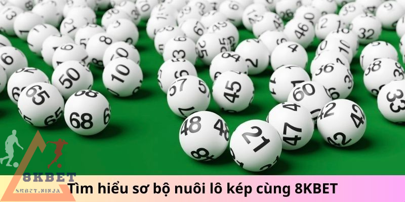 Tìm hiểu sơ bộ nuôi lô kép cùng 8KBET