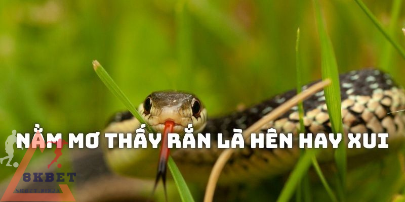 Lý giải nằm mơ thấy rắn là hên hay xui